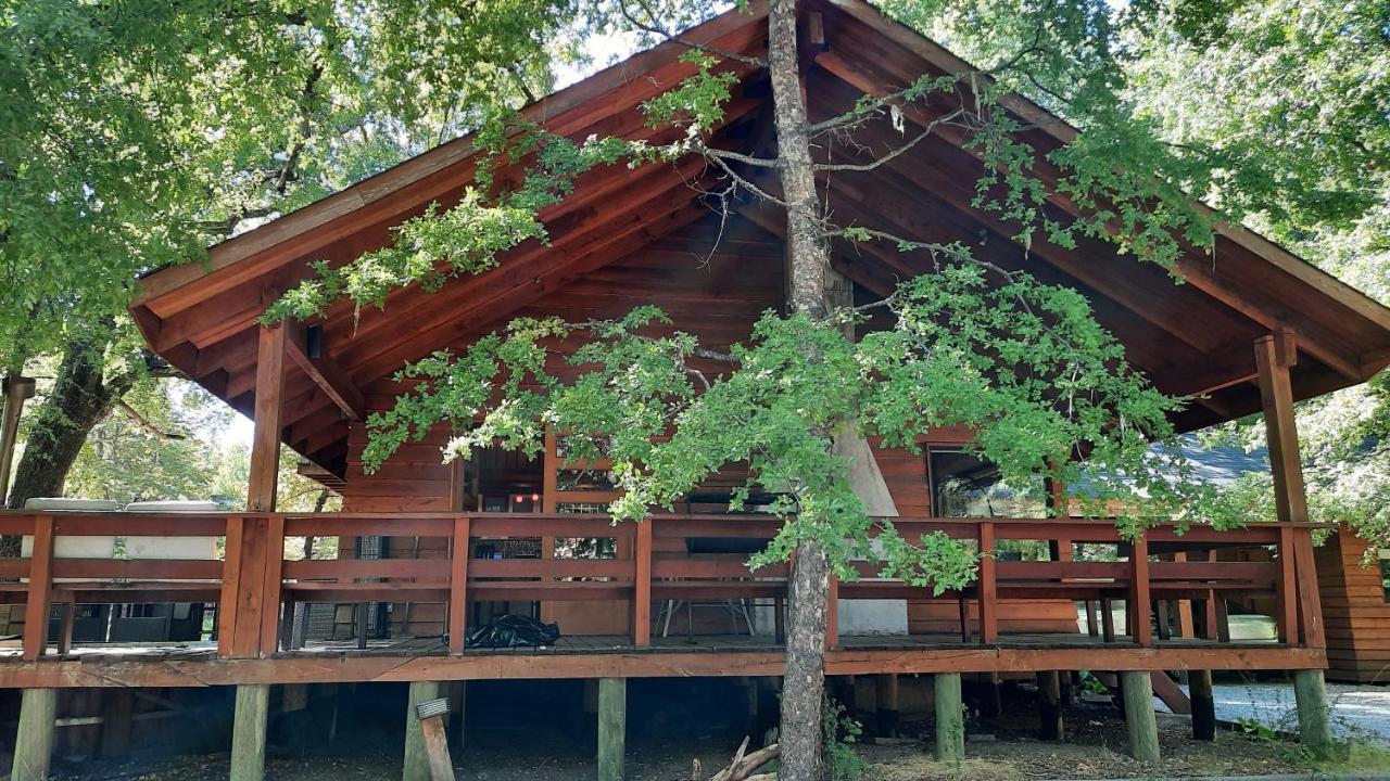 Agradable Casa Cerca De Las Termas De Chillan Valle Las Trancas Exterior foto