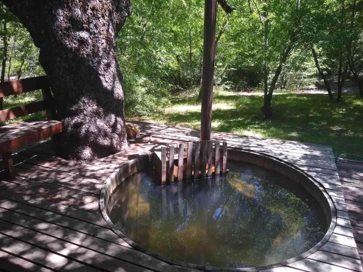 Agradable Casa Cerca De Las Termas De Chillan Valle Las Trancas Exterior foto